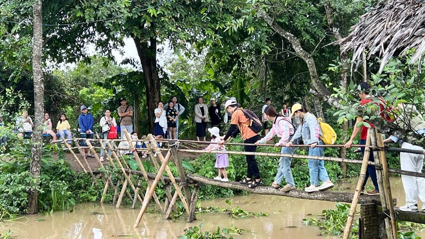 Du lịch Cồn Sơn - Du lịch Sài Gòn Miền Tây 3 ngày 2 đêm từ Hà Nội Du lịch Cồn Sơn - Du lịch Sài Gòn Miền Tây 3 ngày 2 đêm từ Hà Nội
